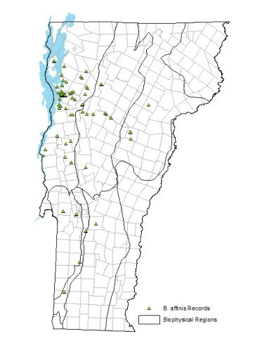 Known historic locations of Rusty-patched Bumble Bee in Vermont. 
