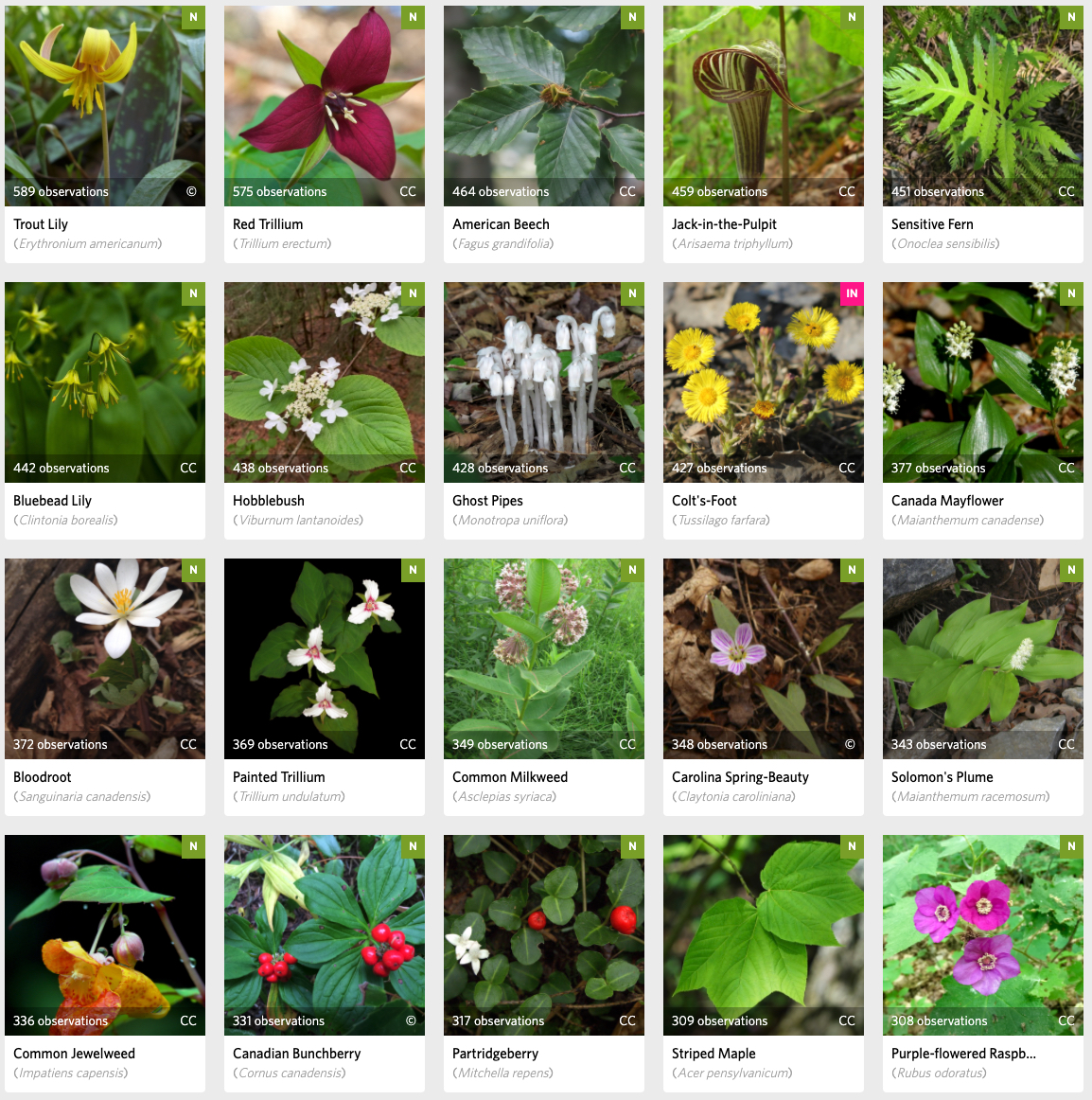 INaturalists Helped The Vermont Atlas Of Life Build Biodiversity Big ...